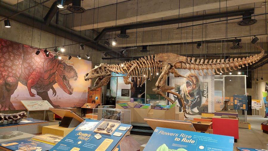 Intérieur du T.rex Discovery Centre