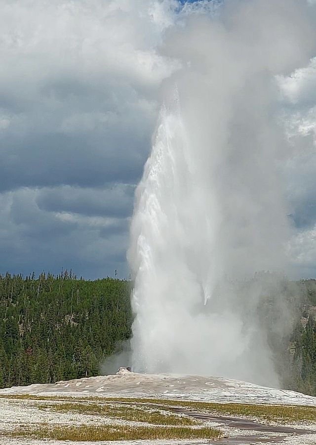 Le plus previsible des geysers du parc