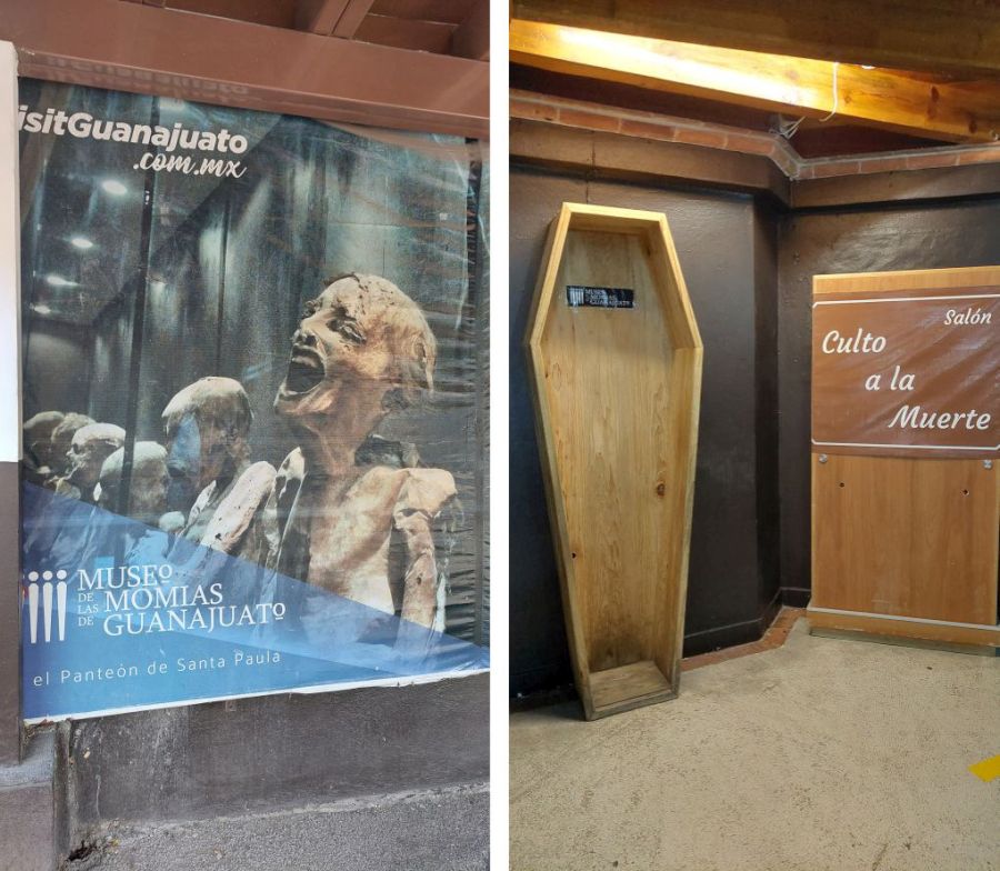 Cote visites un interessant musee des momies