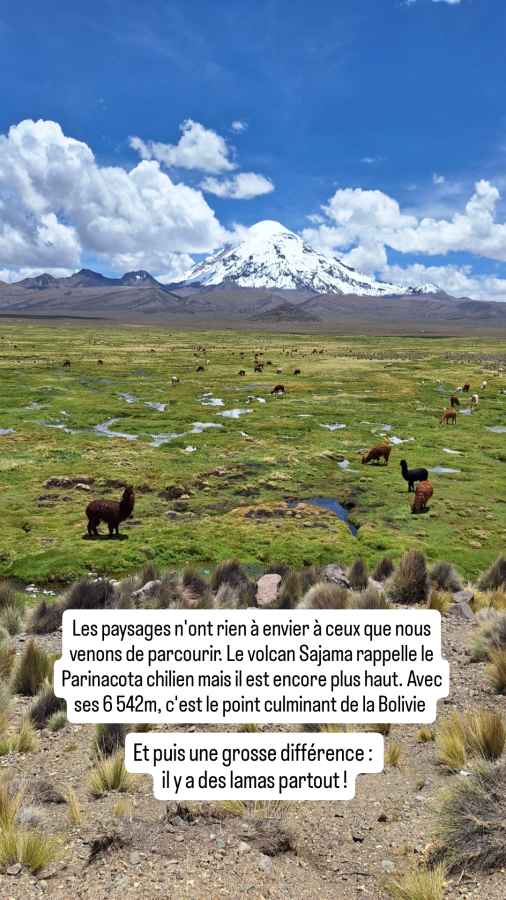 paysage typique de Bolivie : volcans, prairies et lamas