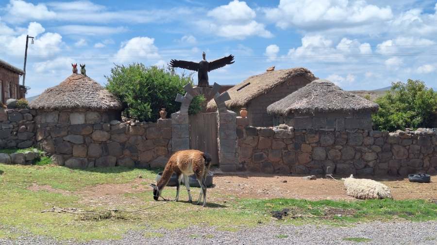Habitation Colla Sillustani Pérou