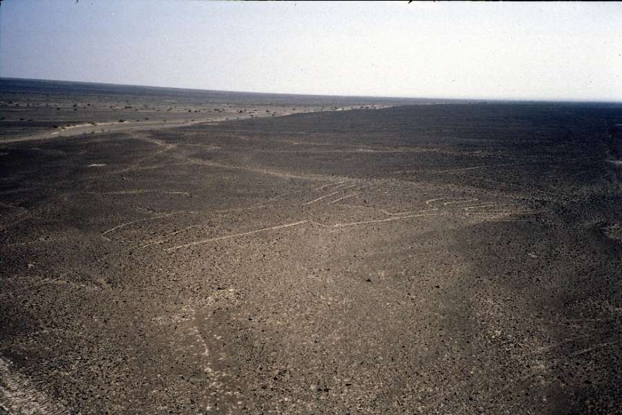 L'une des figures de Nazca, vue d'un "mirador"
