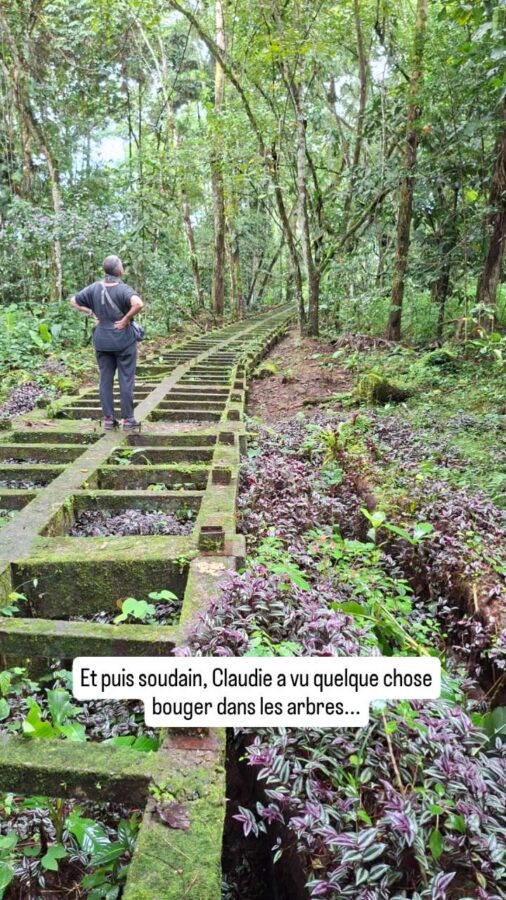 allée du parc de l'ïle à Tena