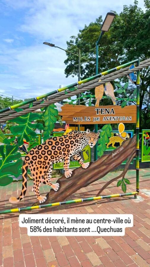 décor animalier passerelle Tena