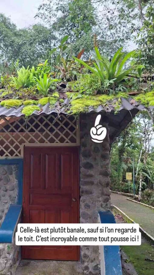 Puyo, Équateur : toit végétalisé naturel