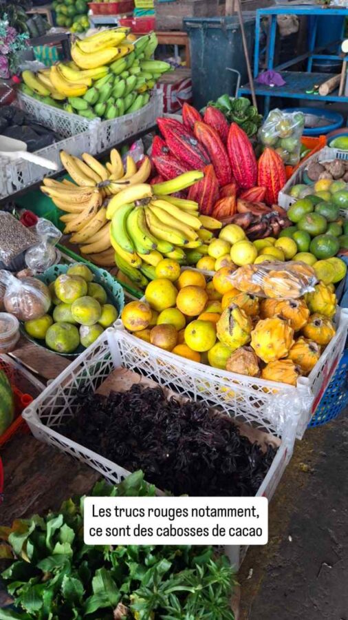 marché de Puyo, Équateur : fruits et fèves de cacao