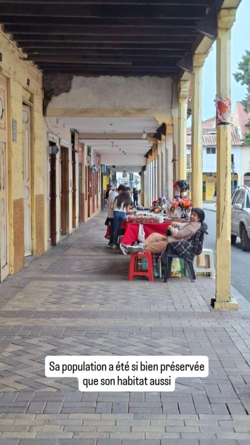 Loja, Équateur : architecture coloniale