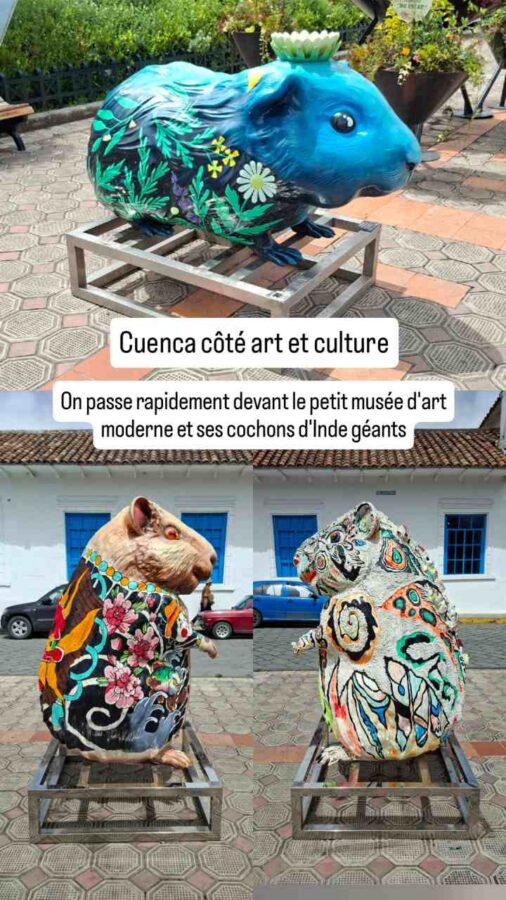 effigies de cochons d'inde au musée d'art moderne de Cuenca Équateur