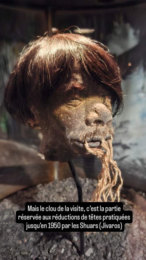 tète réduite au musée Pumapongo de Cuenca Équateur