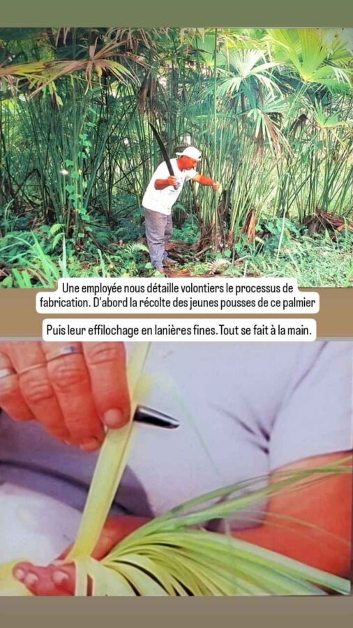 Cuenca, Équateur : fabrique des chapeaux Panamas