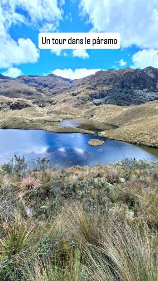 Parc national Cajas, Équateur : paramo