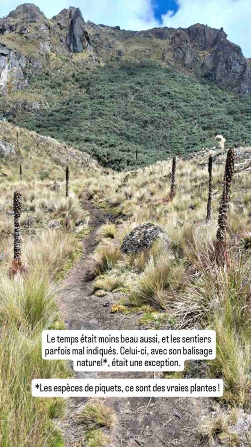 Parc national Cajas, Équateur : sentier avec balisage naturel