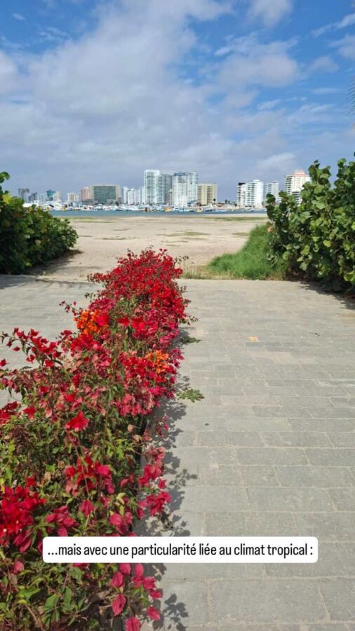 Salinas, Équateur : chemin fleuri