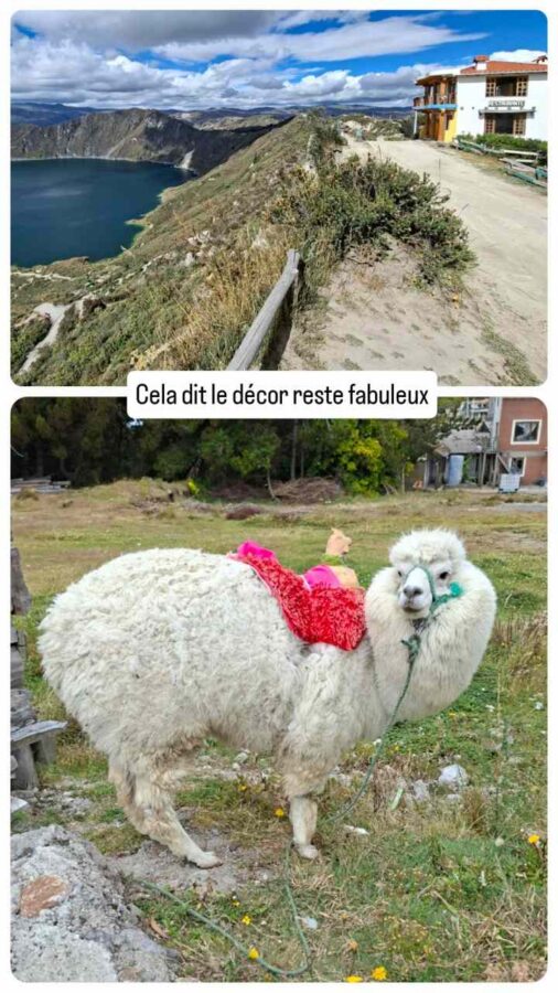 Lagune du Quilotoa, Équateur : rencontre avec un alpaga