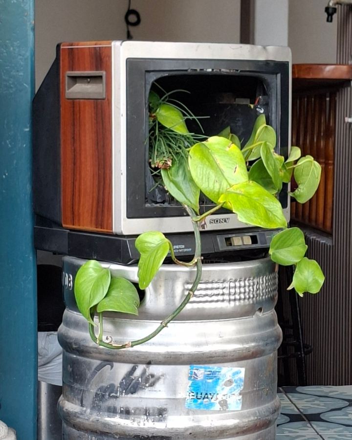 Équateur insolite : la nature est exubérante