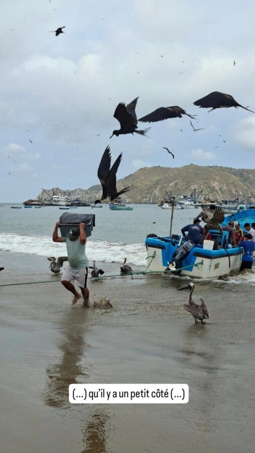 Salango, Équateur : débarquement du poisson sous les oiseaux de mer
