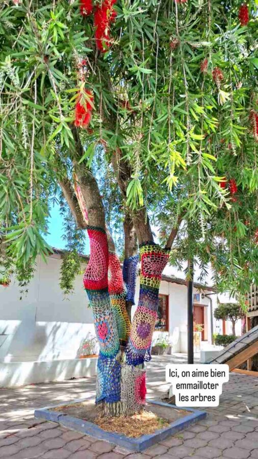 La Mitad del Mundo, Équateur : arbre emmailloté (tradition andine)