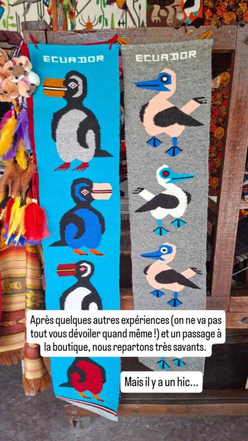 Museo Intiñan, Quito, Équateur : oiseaux de mer en motif de tapis