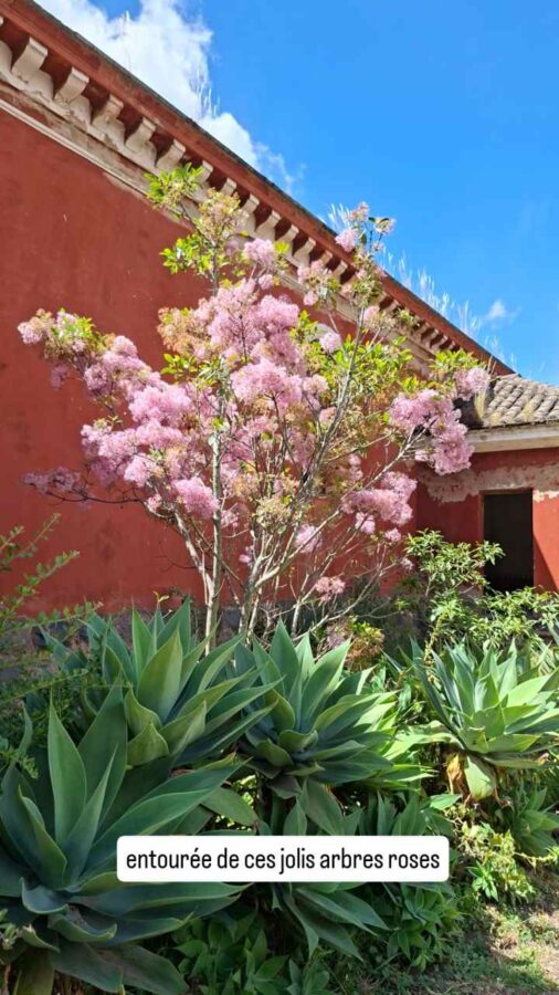 Hacienda Guachalá, Cayambe, Équateur : arupo dans le jardin de l'église