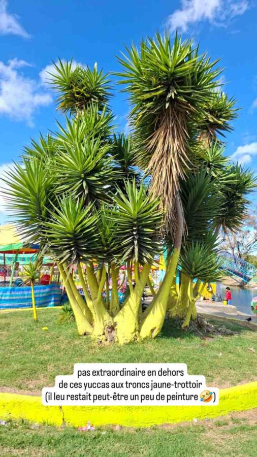 Cayambe, Équateur : parc d'attractions