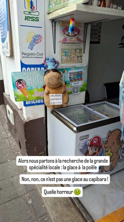 Ibarra, Équateur : glace au capybara