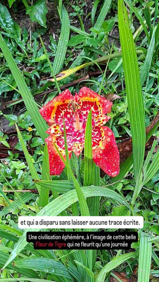 Site archéologique de San Augustin, Colombie : fleur de tigre
