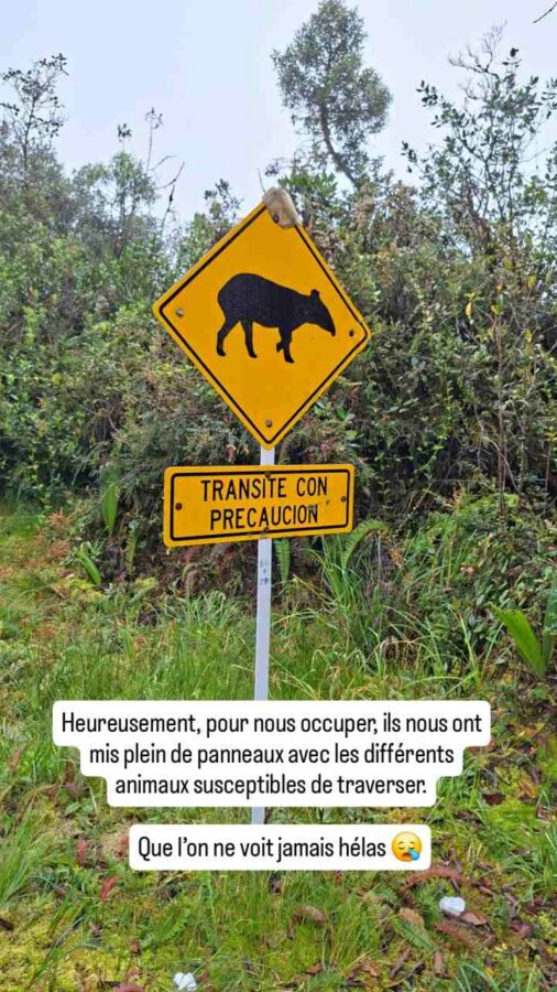 Panneau routier animalier sur la route de San Augustin à Coconuco