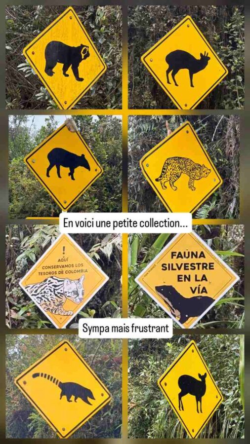 Panneaux routiers animaliers sur la route de San Augustin à Coconuco