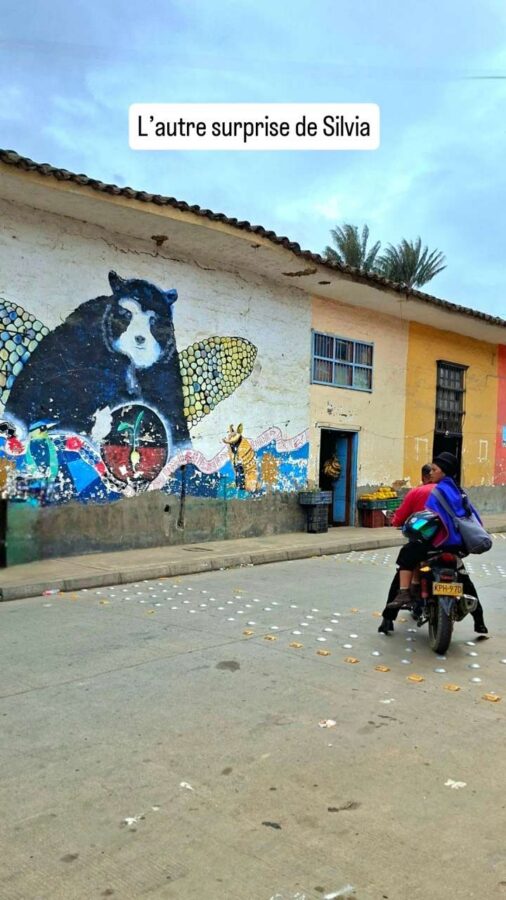 Art mural, Silvia, Colombie, Misak