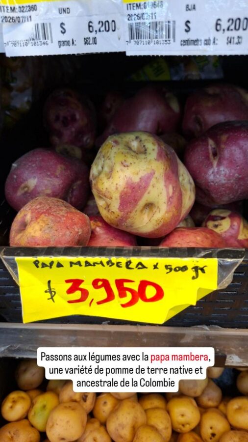 Supermarché Gran Colombia, Jaramundi, Colombie : papa mambera