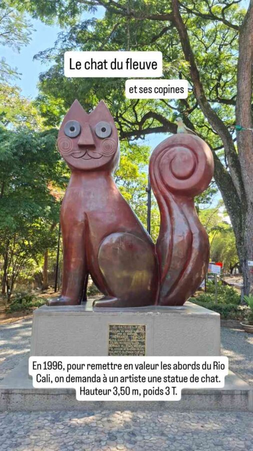 Le Chat du Fleuve, Cali, Colombie