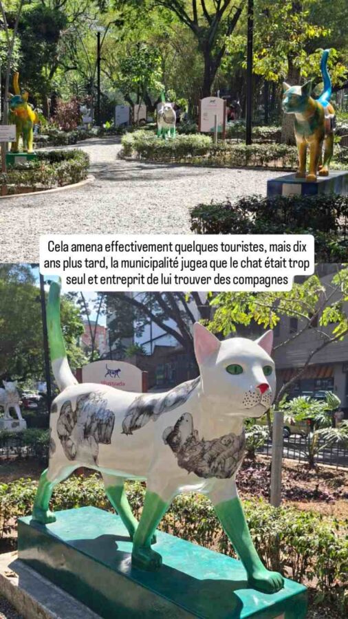 Le Chat du Fleuve, Cali, Colombie