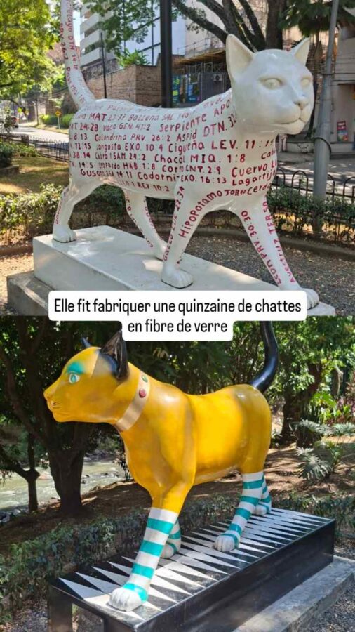 Le Chat du Fleuve, Cali, Colombie