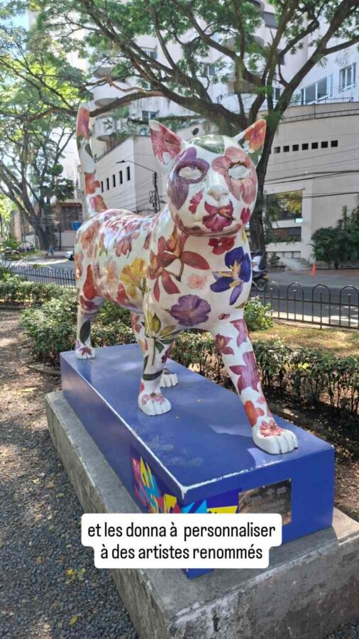 Le Chat du Fleuve, Cali, Colombie