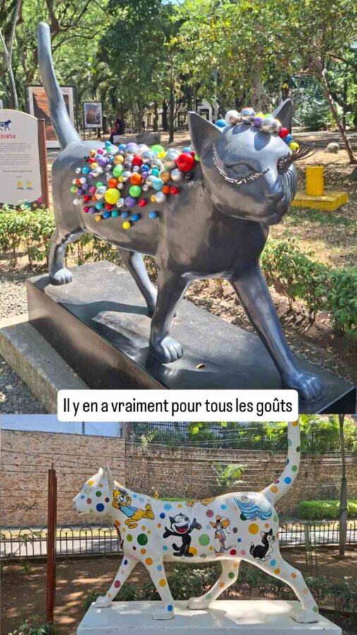 Le Chat du Fleuve, Cali, Colombie
