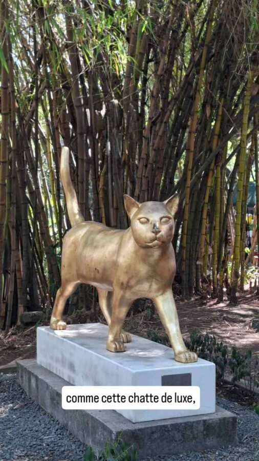Le Chat du Fleuve, Cali, Colombie