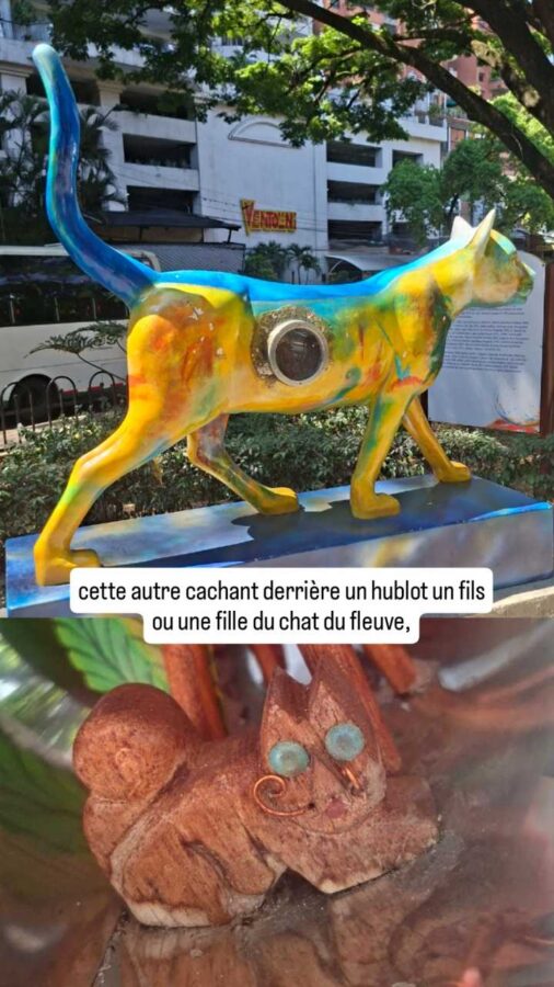 Le Chat du Fleuve, Cali, Colombie