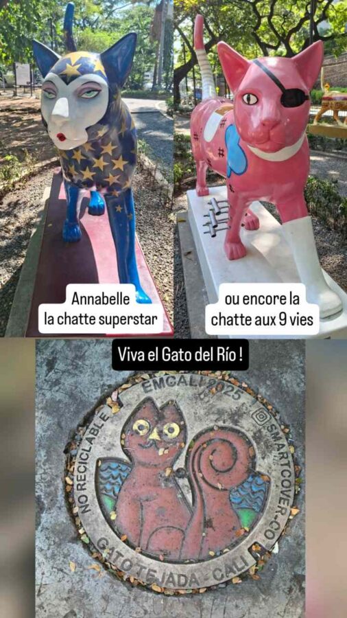 Le Chat du Fleuve, Cali, Colombie