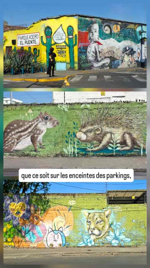 Street-art, Cali, Colombie