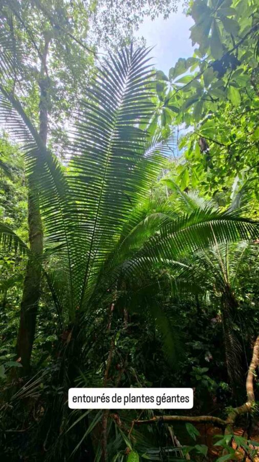 San Cipriano, Colombie