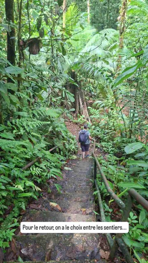 San Cipriano, Colombie