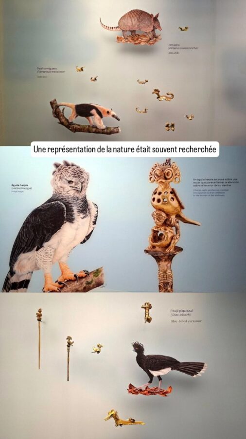 Musée de l'or Quimbaya, Armenia, Colombie