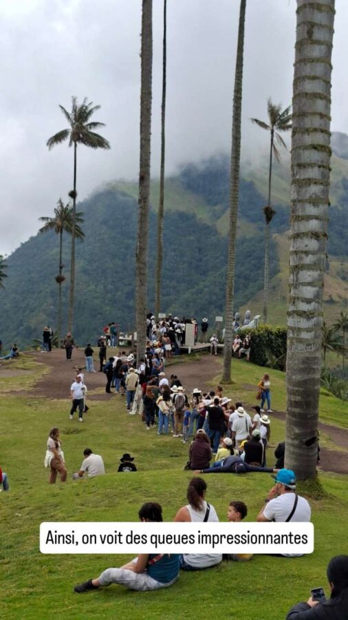 Parc naturel forêt de palmiers, Cocora, Colombie