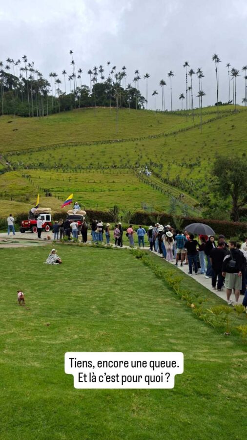 Parc naturel forêt de palmiers, Cocora, Colombie