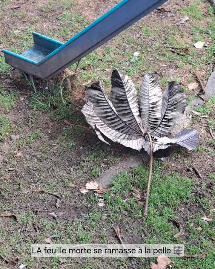 Colombie insolite, une grande feuille morte pour une seule pelle