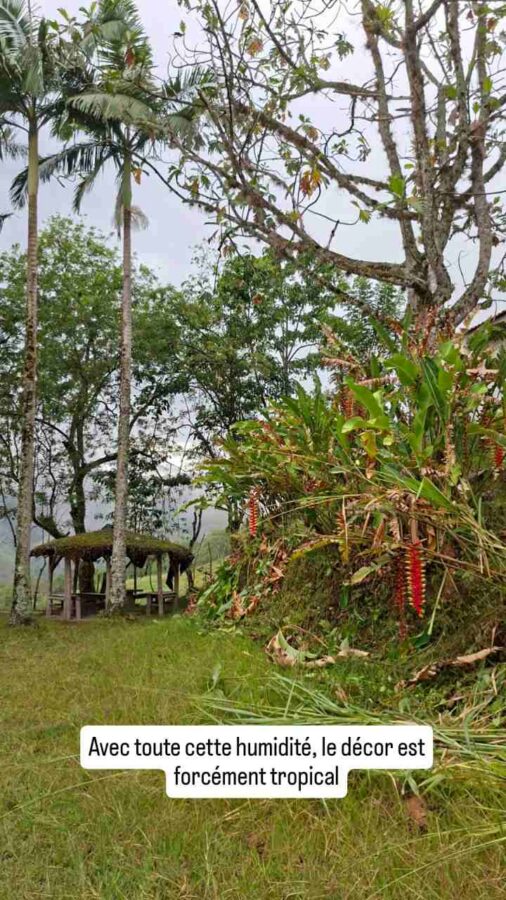 Camping sans nom près de Salamina, Colombie
