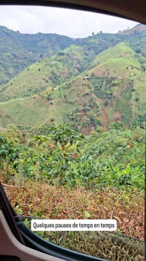La route du café entre Salamina et Aguadas, Colombie