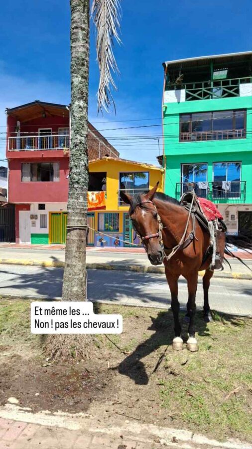 Guatapé, Colombie, la ville la plus photogénique au monde