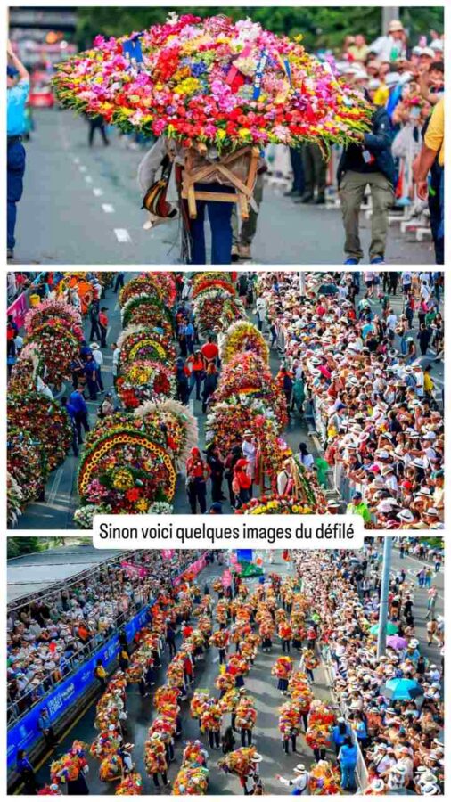 Silleteros, porteurs de fleurs, Guatapé, Medellin, Colombie