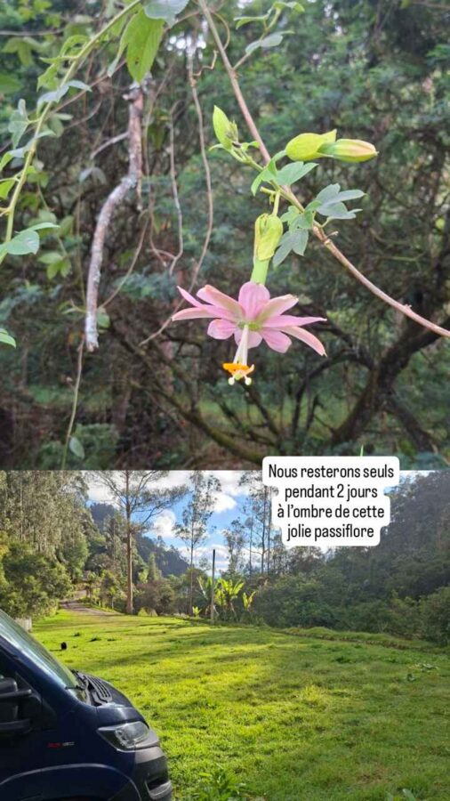 Kombai Park, El Vino, Colombie